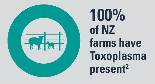 100% of NZ farms have Toxoplasma
