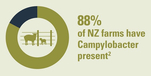 88% of NZ farms have Campylobacter present