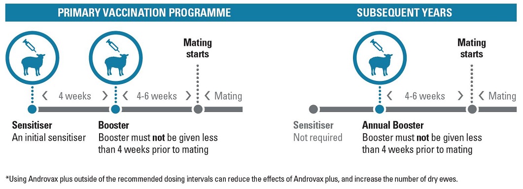 Recommended vaccination programme for Androvax plus