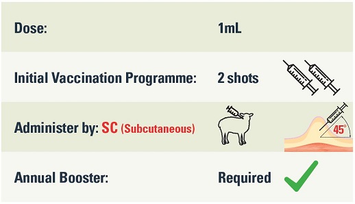 Campyvax4 dose, vaccination programme and administration information