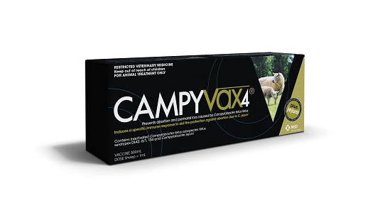 Campyvax4 is a NZ vaccine protecting sheep against Campylobacter