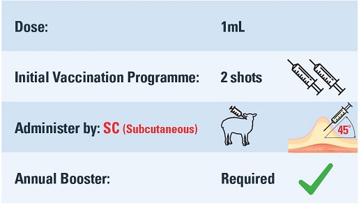 Footvax dose, vaccination programme and administration information