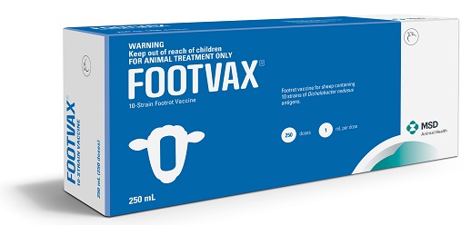 Footvax a NZ vaccine to protect your sheep from footrot