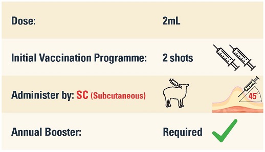 Salvexin+B dose, vaccination programme and administration information