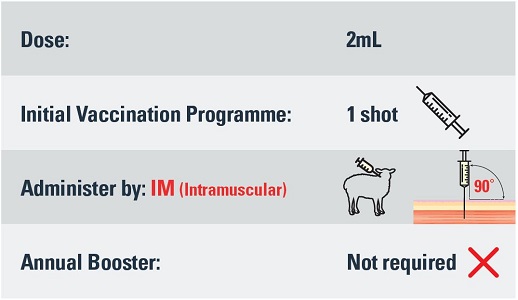 Toxovax dose, vaccination programme and administration information