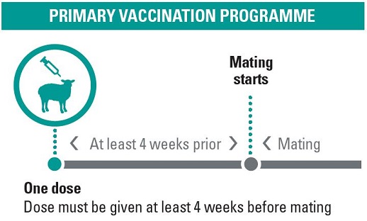 Toxovax vaccination programme