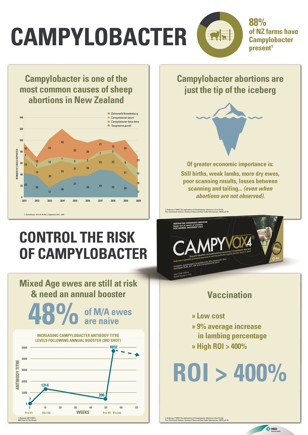 Key facts about Campylobacter in sheep in New Zealand