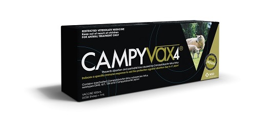 Campyvax4 campylobacter vaccine