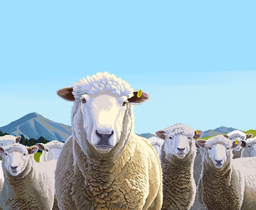 Protect your sheep against footrot with Footvax a Vaccine made in NZ