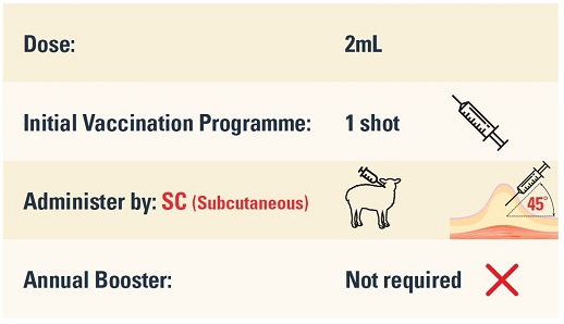 Lamb Vaccine dose, vaccination programme and administration information