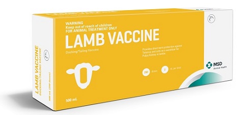 Lamb Vaccine for immediate tetanus protection