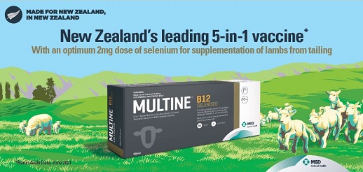 Multine B12 Selenised a 5-in-1 clostridial vaccine with Vitamin B12 and Selenium