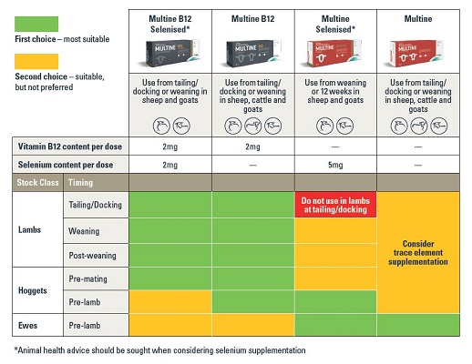 Learn which Multine vaccine is recommended for different stock classes and at different times
