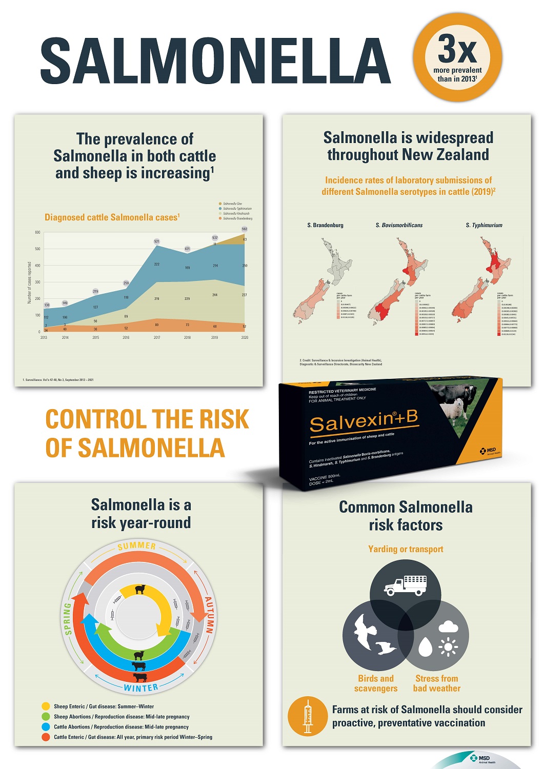 Need to know facts about Salmonella in sheep NZ Sheep Vaccine