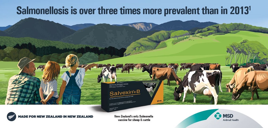 Salvexin+B New Zealand's only Salmonella vaccine for sheep and cattle