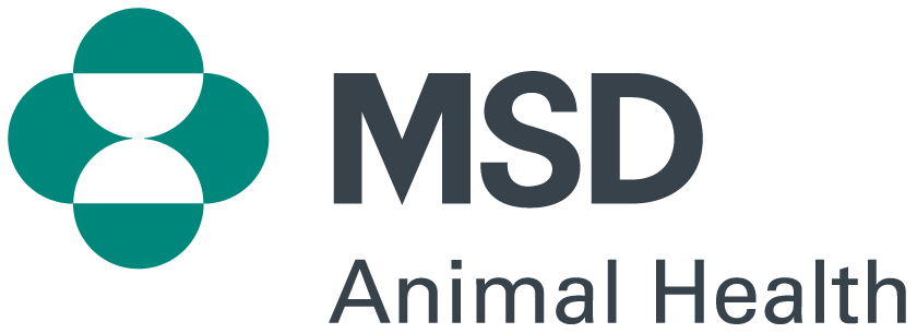 NZ Sheep Vaccine | MSD Animal Health